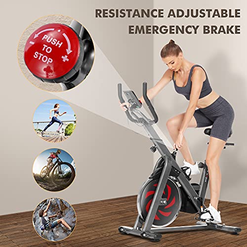 Heka Bicicleta Estática para Fitness con Rueda 13 kg, Bicicleta Spinning Bici Estática de Interior con APP, Resistencia Ajustable & Monitor de Frecuencia Cardíaca, Max.150 kg (Plata)