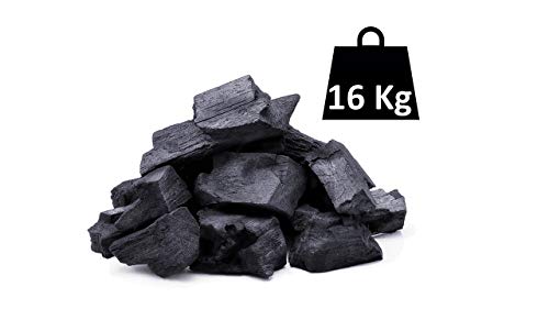 Horizón Forestal Carbón Vegetal de encina Natural 16kg Barbacoa
