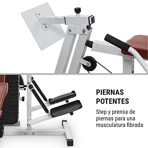 Klarfit Ultimate Gym - Máquina multifunción musculación, Multiestación musculacion, Máquina de musculación, Hombros, Espalda, Brazos, isquiotibiales y glúteos, Acolchada, 9000, Blanco