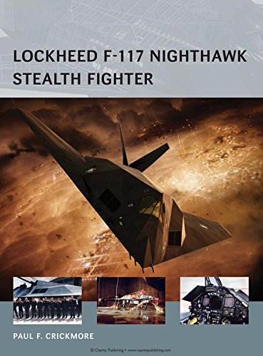 Lockheed F-117 Nighthawk Stealth Fighter (Air Vanguard Book 16) (English Edition)
