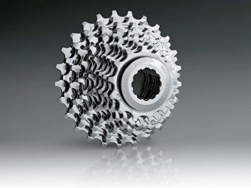 Miche Primato Cassette de 10 velocidades, Campagnolo, gris, 12-25 dientes