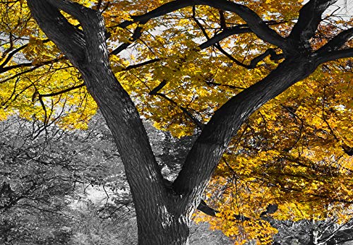 murando Cuadro en Lienzo Arbol 150x50 cm 1 Parte Impresión en Material Tejido no Tejido Impresión Artística Imagen Gráfica Decoracion de Pared Naturaleza Paisaje Amarillo Gris c-B-0545-b-c