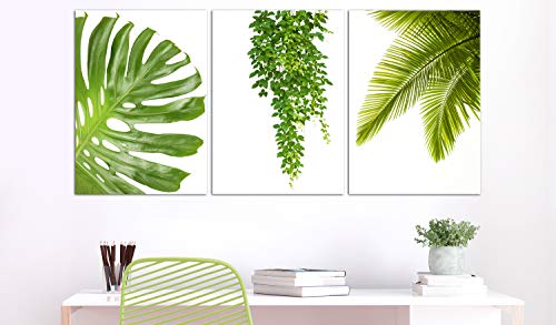 murando - Cuadro en Lienzo Tropical Hojas Monstera 120x60 - Impresión de 3 Piezas Material Tejido no Tejido Impresión Artística Imagen Gráfica Decoracion de Pared - Verde b-B-0309-b-e