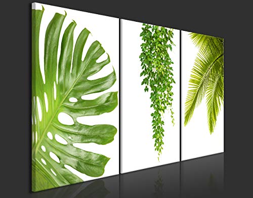 murando - Cuadro en Lienzo Tropical Hojas Monstera 120x60 - Impresión de 3 Piezas Material Tejido no Tejido Impresión Artística Imagen Gráfica Decoracion de Pared - Verde b-B-0309-b-e