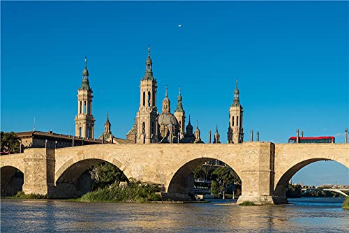 NA Jigsaw Puzzles Grown Ups Puzzle 500 Piece Landscape Architecture Spain Rivers Bridges Cathedral Zaragoza River Ebro For Adult Children