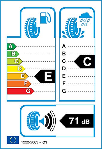 Nankang SV2 XL M+S - 215/50R17 95V - Neumático de Invierno