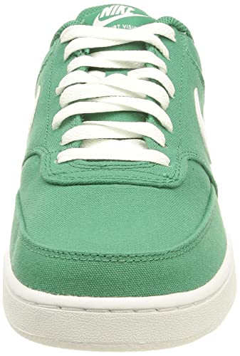 Nike Court Vision Low Canvas, Zapatillas de bsquetbol Hombre, Green Noise White, 45.5 EU