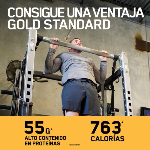 Optimum Nutrition Gold Standard Gainer, Mass Gainer, Proteínas en Polvo para Aumentar Masa Muscular y Recuperación, Chocolate, 16 Porciones, 3,25 kg