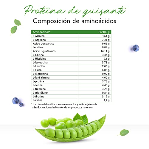 Proteína de guisante en polvo 1,1 kg / 1100 g - 87% de contenido proteico - 100% de proteína de guisante aislada - Origen Bélgica - Vegano - Proteína pura en polvo - Sin gluten, soja ni lactosa