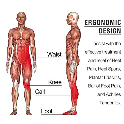 Quinone Plantillas ortopédicas, soporte deportivas plantillas, para ayudar a reducir el dolor en el talón, fascitis plantar, rodilla/dolor de espalda y tendinitis de Aquiles (EUR L（44-45)