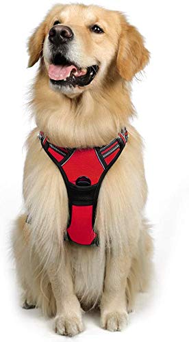 rabbitgoo Arnés Pecho Grande Perro Arnés Rojo para Perro Grande Chaleco Acolchado Mascota Correas Reflectores Mejor Seguridad Color Rojo Tamaño L Grande