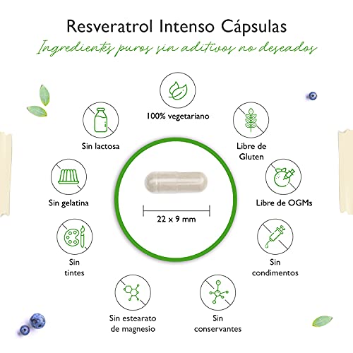 Resveratrol con 500 mg por cápsula - Premium: 98% Trans-Resveratrol de extracto de raíz de nudosa japonesa - 60 cápsulas - Altamente dosificado - Vegano