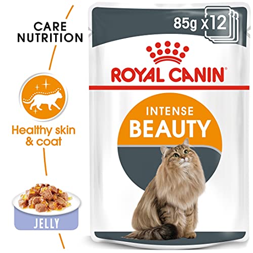 ROYAL CANIN Intense Beauty Comida para Gatos - Paquete de 12 x 85 gr - Total: 1020 gr