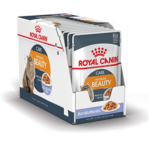 ROYAL CANIN Intense Beauty Comida para Gatos - Paquete de 12 x 85 gr - Total: 1020 gr