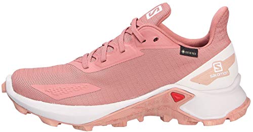 Salomon Alphacross Blast Gore-Tex (impermeable) Mujer Zapatos de trail running, Rojo (Brick Dust/Lunar Rock/Sirocco), 45 ⅓ EU