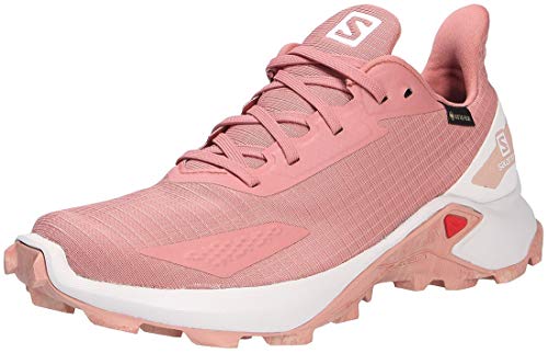 Salomon Alphacross Blast Gore-Tex (impermeable) Mujer Zapatos de trail running, Rojo (Brick Dust/Lunar Rock/Sirocco), 45 ⅓ EU