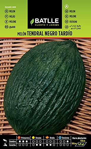 Semillas Hortícolas - Melón Tendral negro tardío - Batlle