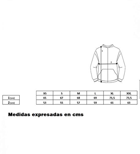 Sudadera Extremoduro Rock Español Roberto Iniesta Impresion Premium 300 grs (XL)
