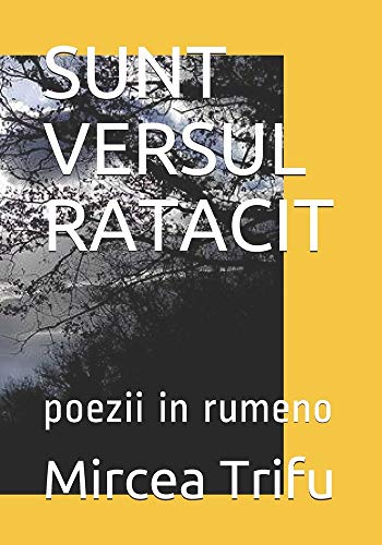 SUNT VERSUL RATACIT: poezii: 3 (Nu poti strabate nici un graunte de nisip, daca de cealalta parte nu te astepta nimeni. M.T.)