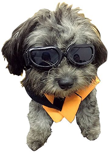 XUNKE Gafas de Sol para Perros, Perro Gafas para Perros pequeños y medianos Impermeable Plegable Protector Ocular Protección UV Antivaho (Black)