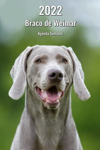 2022 Braco de Weimar Agenda Semanal: 143 Páginas | Tamaño A5 | 14 Meses | 1 Semana en 2 Páginas | Planificador | Agenda Semana Vista | Canófilo | Perro | En Español