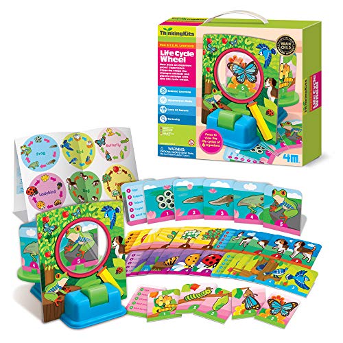 4M- Thinking Kits Rueda Ciclo Vital, Multicolor (404693)