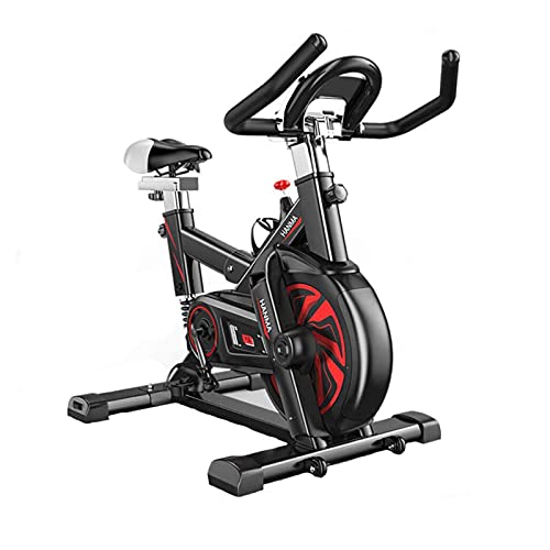 AARRM Bicicletas Spinning Indoor,Bicicleta estática de Spinning Deportiva,Resistencia Infinita para el hogar Bicicleta de Spinning con Asiento Ajustable,Muelle Amortiguador Profesional,Adultos Unisex