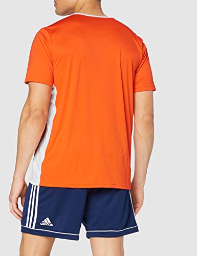 adidas Entrada 18 JSY T-Shirt, Hombre, Orange/White, L