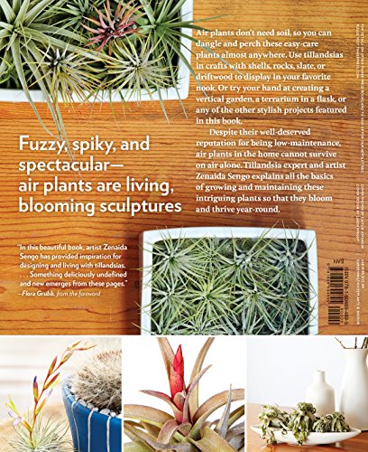 Air Plants: The Curious World of Tillandsias