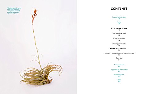 Air Plants: The Curious World of Tillandsias