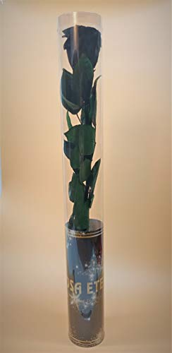 Almaflor Rosa eterna preservada Negra con Cabeza Premiun. Tubo de conservación de 55cm. Hecho en España.