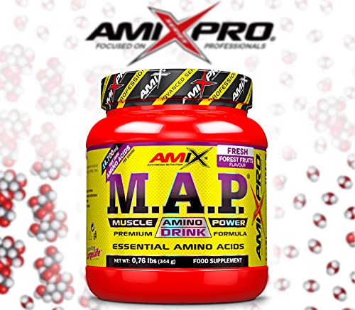 AMIX - Aminoácido en Polvo Muscle Amino Power - Suplemento Alimenticio que Aumenta la Fuerza y la Resistencia Muscular - Sabor Frutas del Bosque - 344 g