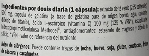 AMIX - Suplemento Alimenticio - Green Tea Extract en Formato de 100 Cápsulas - Contiene Vitamina C - Reduce la Fatiga o Cansancio - Efecto Antioxidante