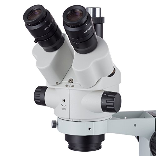 AmScope 7X-45X Simul-Focal Stereo Lockable Zoom Microscopio en Soporte de Brazo Dual