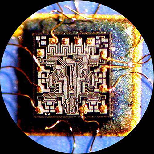 AmScope 7X-45X Simul-Focal Stereo Lockable Zoom Microscopio en Soporte de Brazo Dual