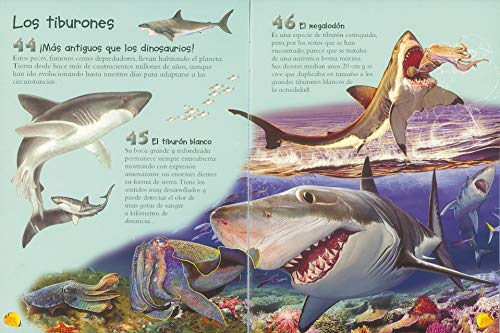 Animales acuáticos y Tiburones (101 cosas que deberías saber sobre)