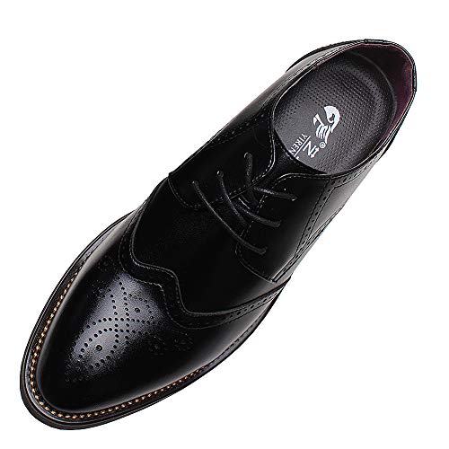 ANUFER Hombres Inteligente Punta Puntiaguda Zapatos de Vestir con Cordones Formal Negocios Boda Brogues Negro P110 EU44