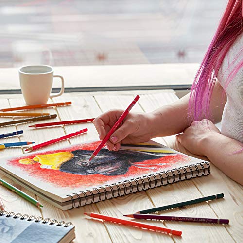 Arteza Cuadernos de dibujo | Pack de 2 blocs en espiral de doble anilla | 100 hojas cada uno | Papel grueso para bocetos | Tamaño 22,9 x 30,5 cm | Grosor 100 gsm | Sin ácidos | Blanco brillante