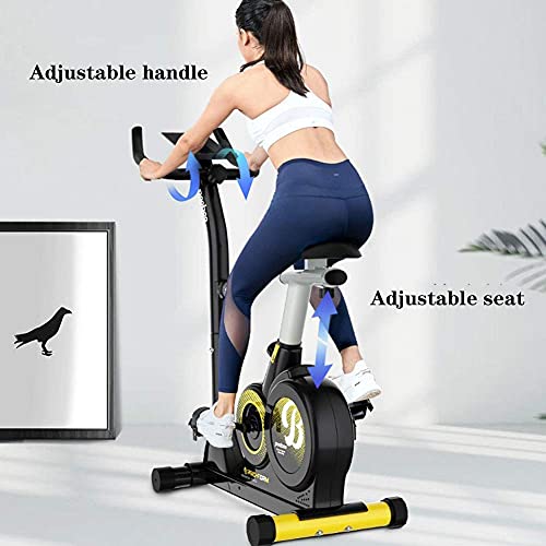 AWJ Flywheel Aerobic Studio Training Bicicleta Bicicleta de Ejercicio Fitness Ciclismo Home Fitness Gym Monitor LED