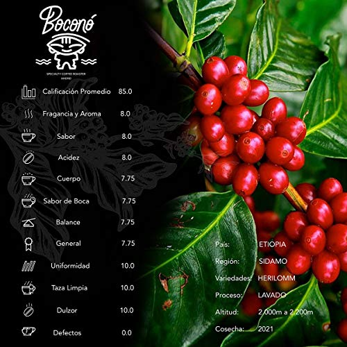 Boconó Specialty Coffee Etiopia Café De Especialidad En Grano 1 Kilo Arábica Tueste Natural Espresso V60 Chemex Aeropress Kalita Tostado Reciente Trazabilidad Completa Café En Grano Moka Italiana