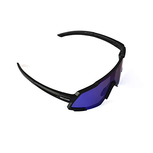 Brown Labrador Gafas Ciclismo polarizadas, fotocromáticas con 6 Lentes Intercambiables UV 400. Gafas Deportivas, Running Trail Running, Ciclismo BTT, para Hombre y Mujer (Black - B)