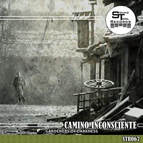 Camino Inconsciente (Original Mix)