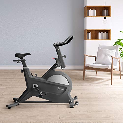 Capital Sports Aeris - Bicicleta estática, Volante de inercia de 18 kg, Función MagResist en 8 Niveles, Ordenador, Soporte para Tablet, Pulsómetro, Pedales Antideslizantes, Sillín ergonómico, Negro