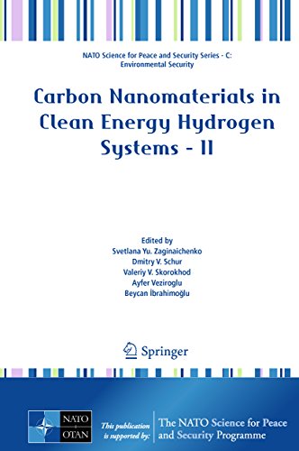 Carbon Nanomaterials in Clean Energy Hydrogen Systems - II (NATO Science for Peace and Security Series C: Environmental Security Book 2) (English Edition)