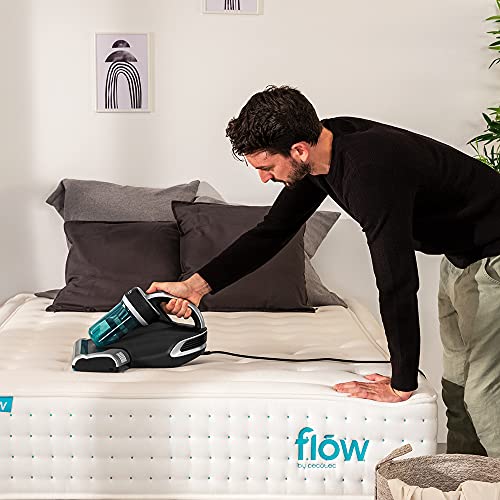 Cecotec Aspirador de Colchones y Tapicerías Conga Popstar 7000 Mattress. 700 W, 12 kPa de Poder de Succión, Incluye Luz Ultravioleta UV-C Que Acaba con el 99,9% de los Alérgenos
