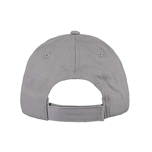 Cerdá GORRA PAW PATROL (gris)