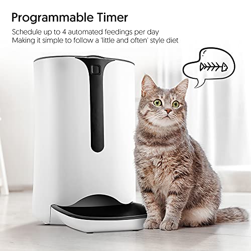 Comederos de Gatos Automáticos con Temporizador Alimentador Automático con Pantalla LCD Función de Control de Porciones y Grabación de Sonido con 6L para hasta 4 Comidas al día