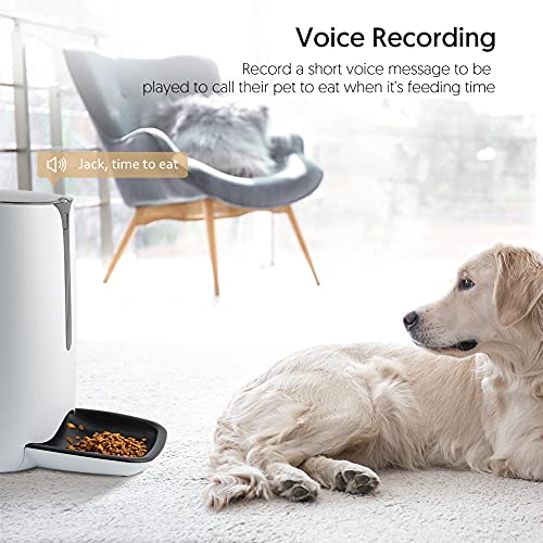 Comederos de Gatos Automáticos con Temporizador Alimentador Automático con Pantalla LCD Función de Control de Porciones y Grabación de Sonido con 6L para hasta 4 Comidas al día