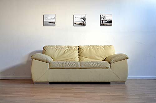 Cuadro en Lienzo en Aves Volando por el Lago Pinturas murales Decoración Impresiones de Lienzo Paisaje de Invierno para para Sala de Estar Cocina Dormitorio Aniversario 30x30cm 3er