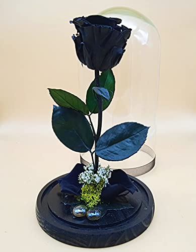 Cúpula Bella Bestia. Rosa eterna Negra preservada. Altura 25 cm. Rosa eterna Negra. Rosa Negra eterna. Hecho en España.